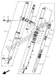 forcella anteriore