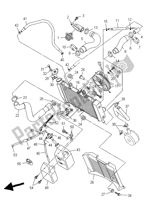 Alle onderdelen voor de Radiator Slang van de Yamaha XJ6N 600 2009