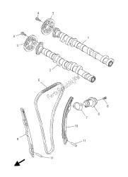 CAMSHAFT & CHAIN