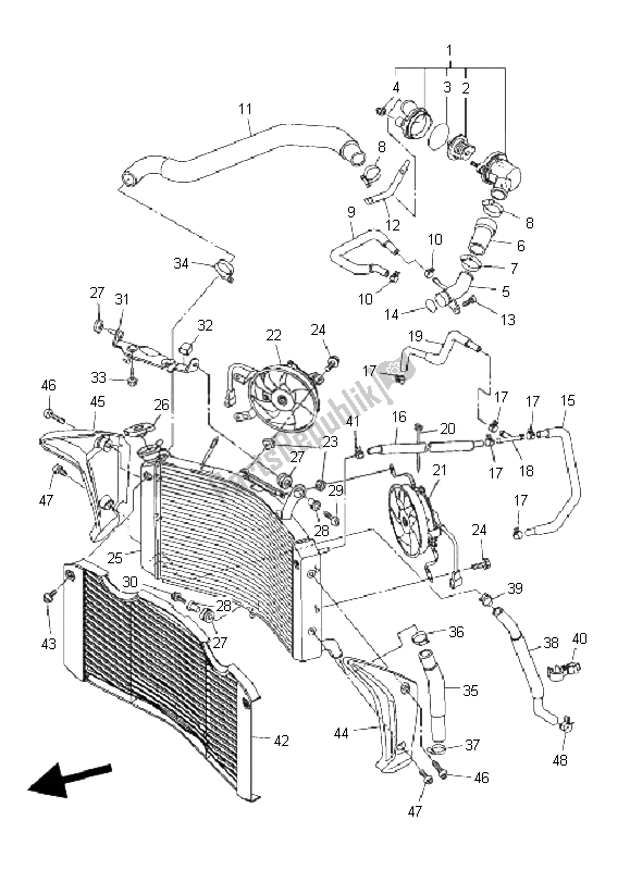 All parts for the Radiator & Hose of the Yamaha FZ1 SA Fazer 1000 2008