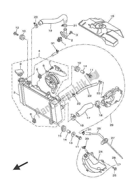 All parts for the Radiator & Hose of the Yamaha MT 125A 2016