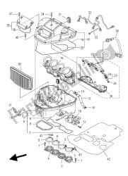 Intake