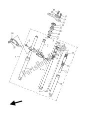 forcella anteriore