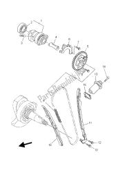 CAMSHAFT & CHAIN