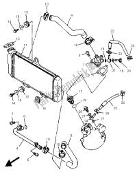 tubo del radiatore