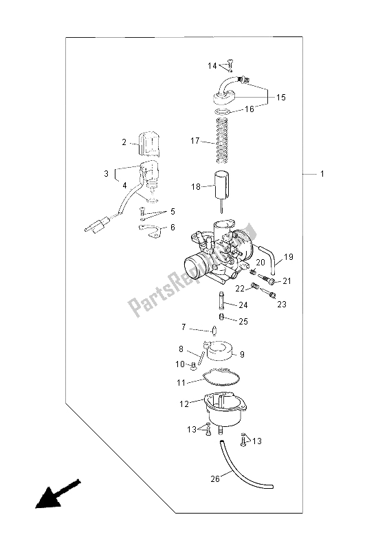 Tutte le parti per il Carburatore del Yamaha CS 50 2015