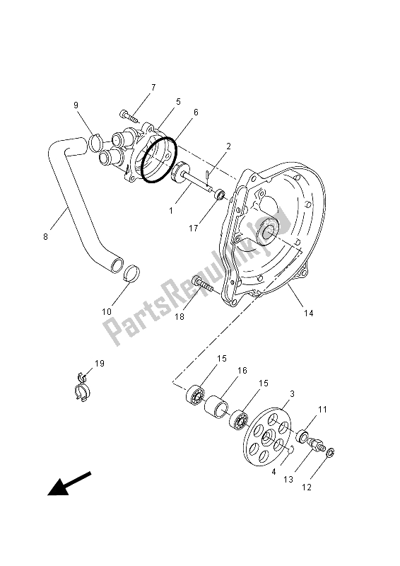 All parts for the Water Pump of the Yamaha NS 50 2015