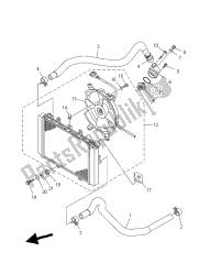 RADIATOR & HOSE