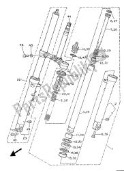 forcella anteriore