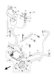 RADIATOR & HOSE