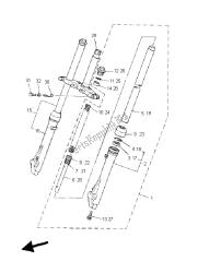 forcella anteriore