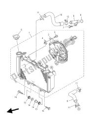 RADIATOR & HOSE