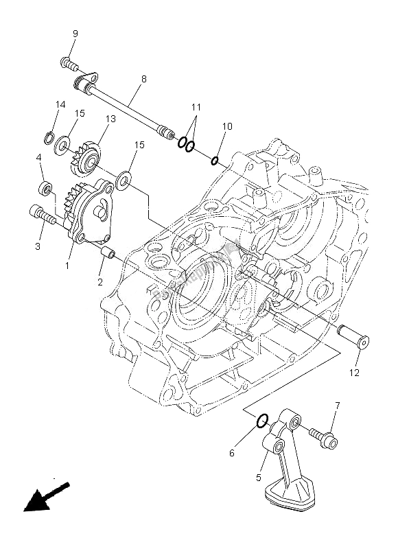 Tutte le parti per il Pompa Dell'olio del Yamaha WR 250R 2013