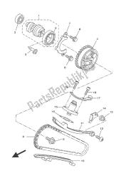 CAMSHAFT & CHAIN