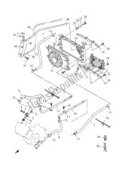 RADIATOR & HOSE