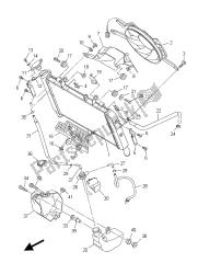 RADIATOR & HOSE