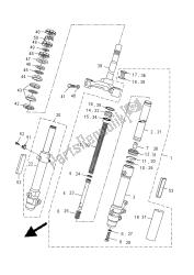 forcella anteriore