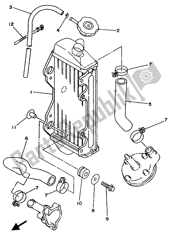 All parts for the Radiator & Hose of the Yamaha YZ 80 LC LW 1994