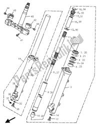 forcella anteriore