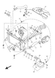 RADIATOR & HOSE