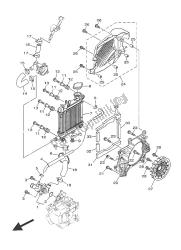 radiator slang