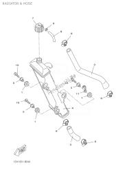 RADIATOR & HOSE