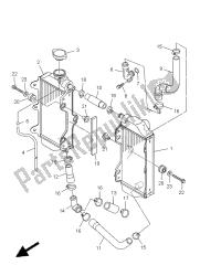 RADIATOR & HOSE