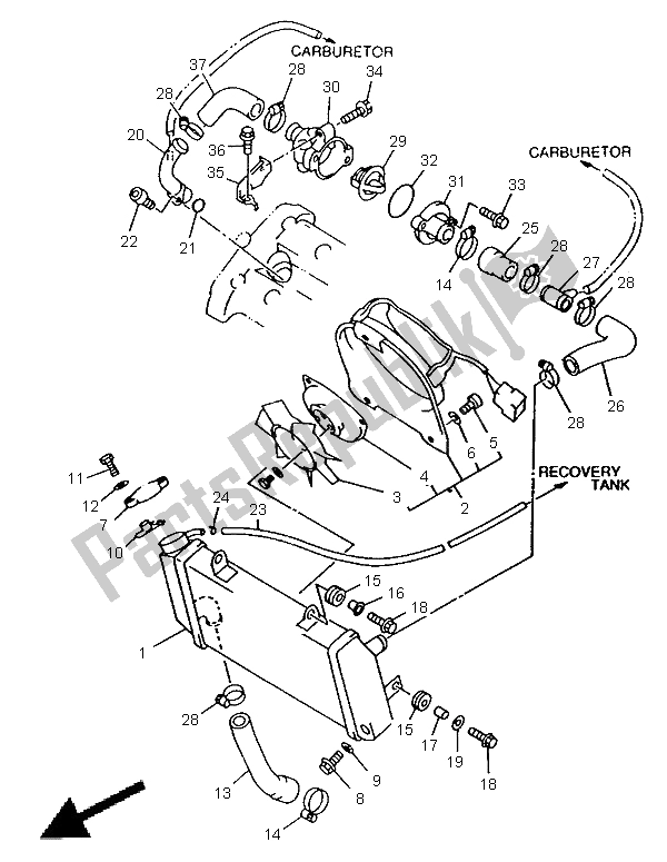 All parts for the Radiator & Hose of the Yamaha TRX 850 1998