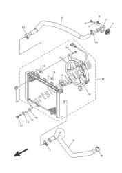 RADIATOR & HOSE