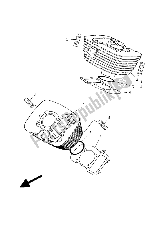 All parts for the Cylinder of the Yamaha XV 125S Virago 2000