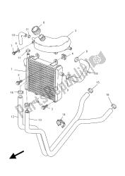 RADIATOR & HOSE