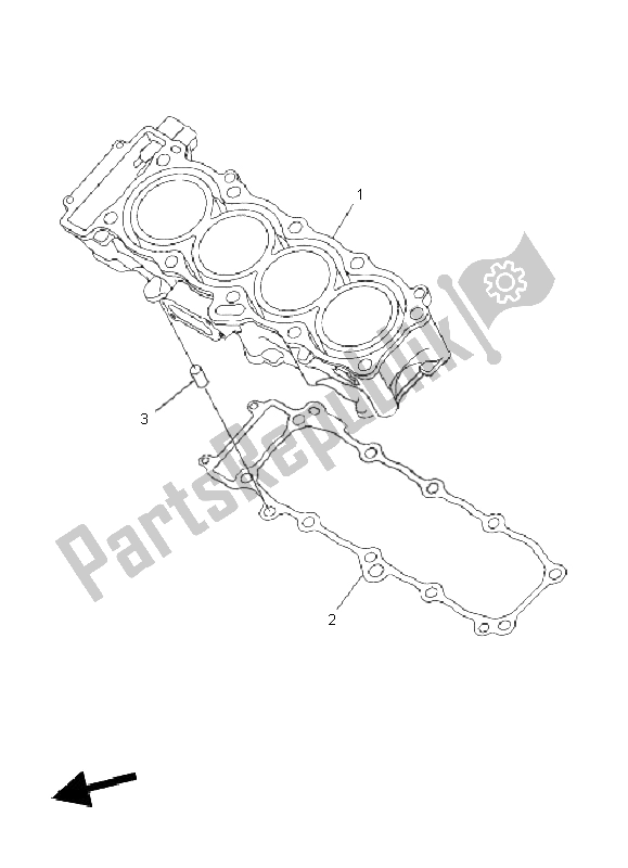 All parts for the Cylinder of the Yamaha FZ8 NA 800 2011