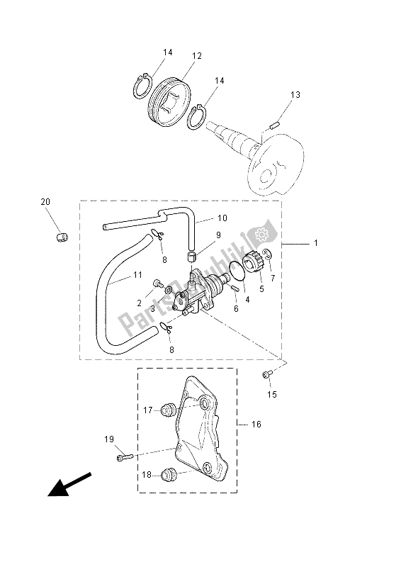 All parts for the Oil Pump of the Yamaha NS 50 2015