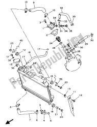 RADIATOR & HOSE