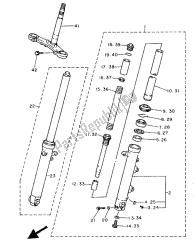 forcella anteriore