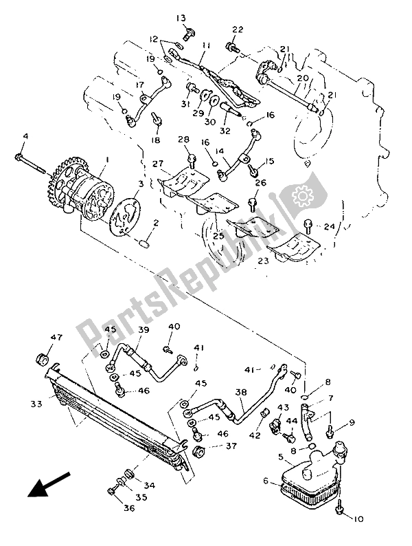 Toutes les pièces pour le La Pompe à Huile du Yamaha FZR 1000 1989