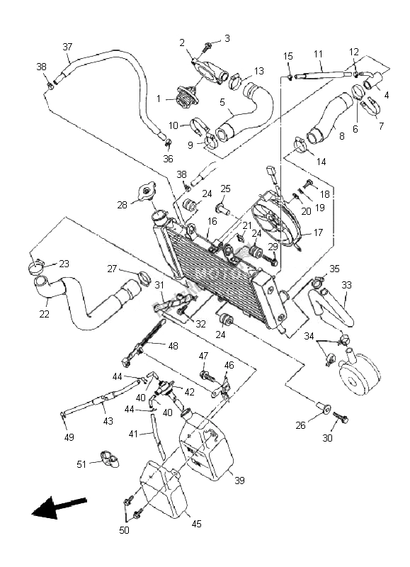 All parts for the Radiator & Hose of the Yamaha XJ6F 600 2010