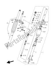 forcella anteriore