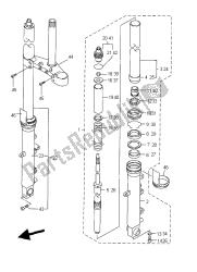 forcella anteriore