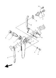 CAMSHAFT & CHAIN