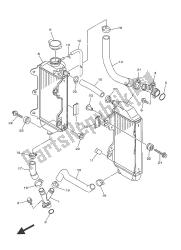 RADIATOR & HOSE