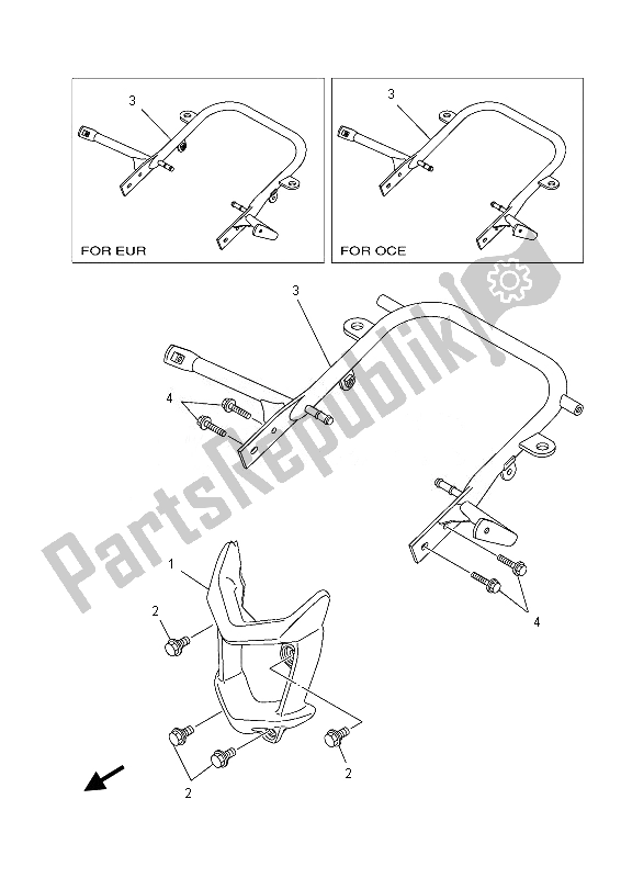 All parts for the Guard of the Yamaha YFM 700 RD 2013