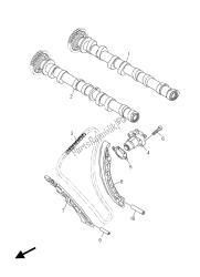 CAMSHAFT & CHAIN