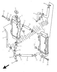 RADIATOR & HOSE