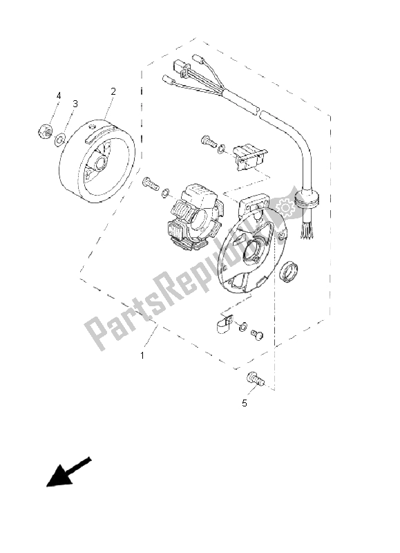 All parts for the Generator of the Yamaha CW 50 2008