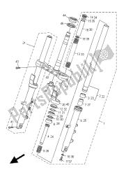 forcella anteriore