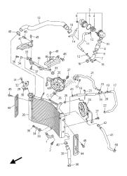 RADIATOR & HOSE