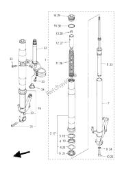 forcella anteriore