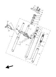 forcella anteriore