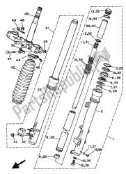 forcella anteriore